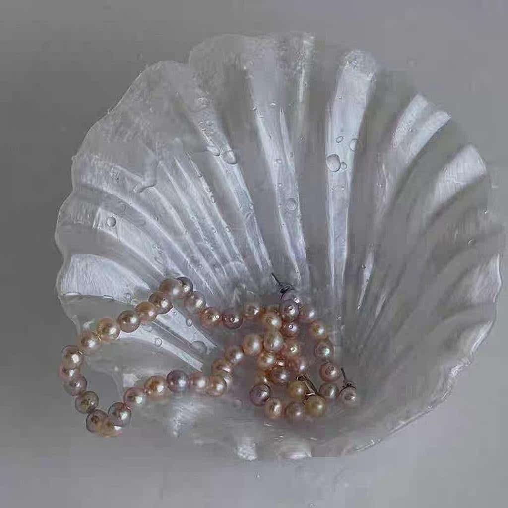 Coastal Shell Shaped Jewelry Storage